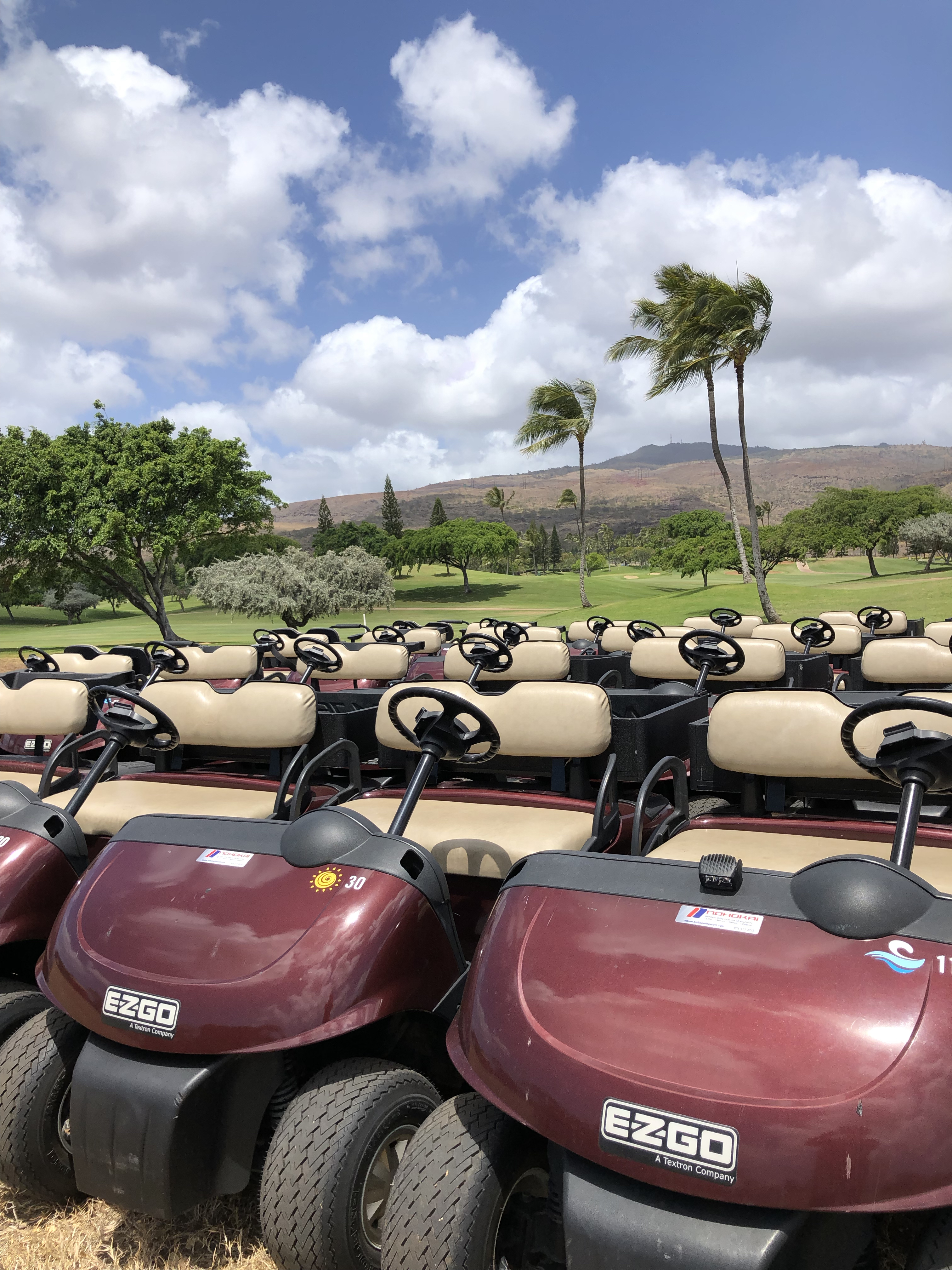 Golf Carts and Rentals Hawaii