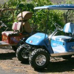 custom_golf_carts_hawaii5